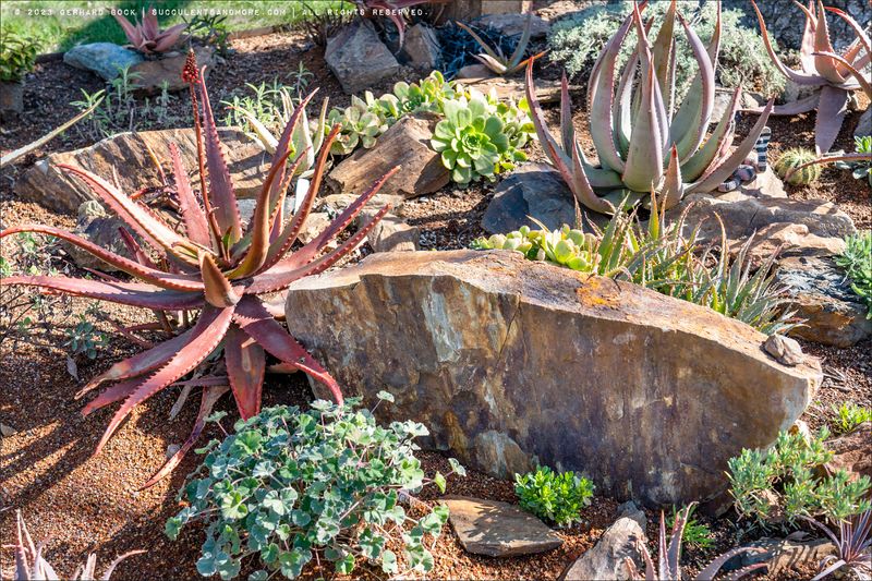21 Sustainable Front Yard Landscaping Ideas With Rocks And Mulch - Decor Hint Lava Rock Heat Islands