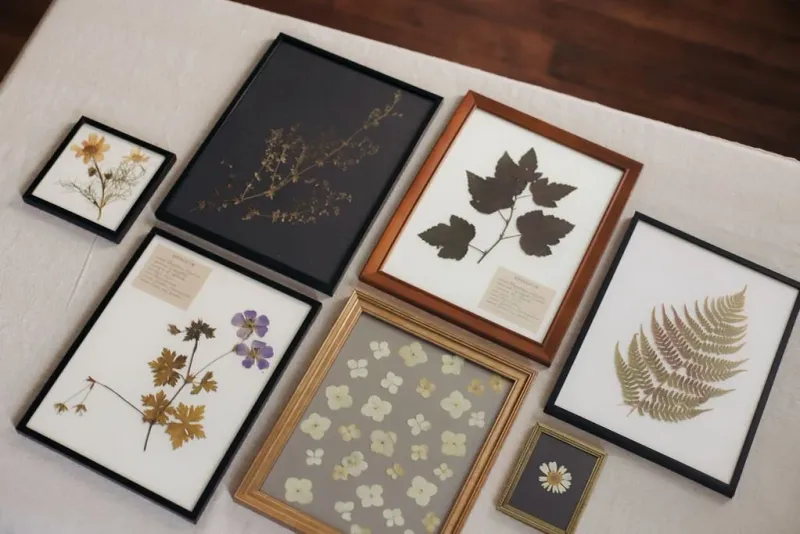 Botanical Prints