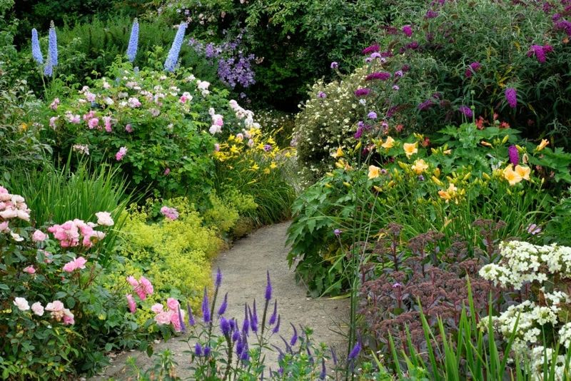 20 Things You Should Not Waste Money On For An Outdoor Space, According To Exterior Designers - Decor Hint Exotic Non-Native Plants