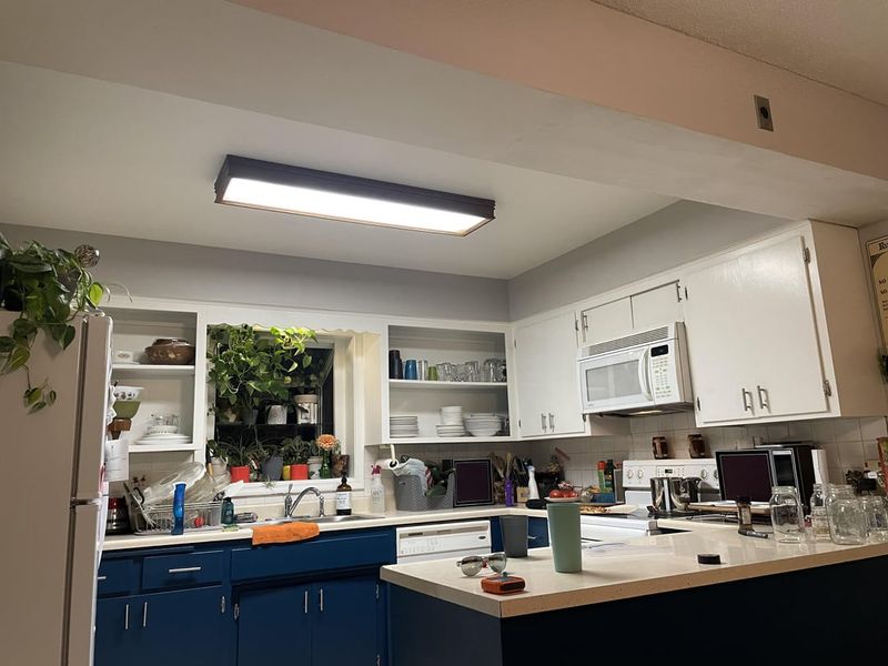 Fluorescent Kitchen Lighting