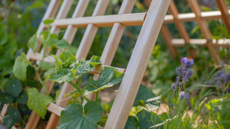 18 DIY Outdoor Decor Ideas That Look Way More Expensive Than They Are - Decor Hint Trellis Made from Garden Stakes or Scrap Wood