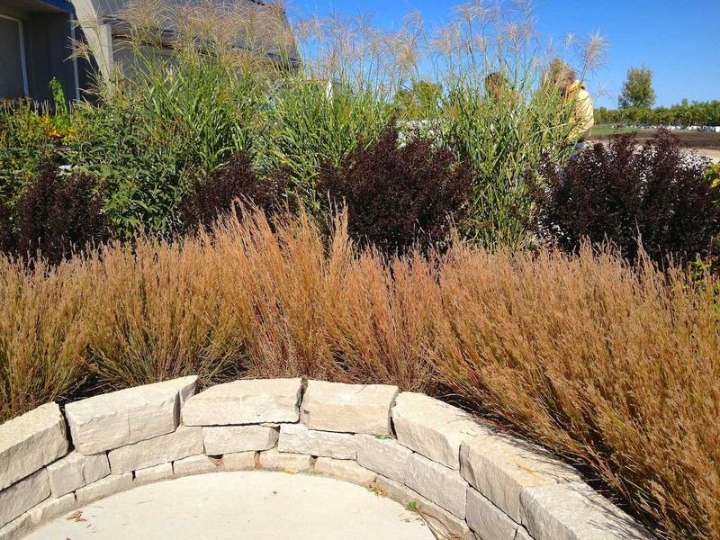 11 Secrets Behind Serene Yards In Iowa - Decor Hint Prairie-Inspired Garden Beds