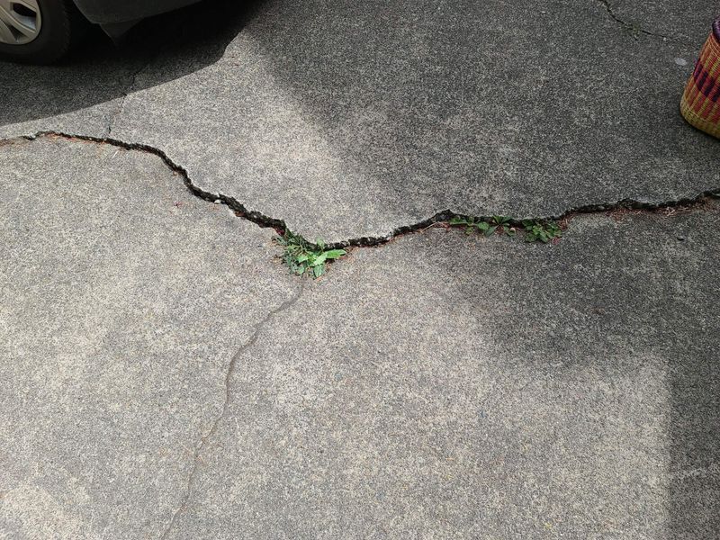 9 Things Making The Exterior Of Your Home Look Dated, And What You Can Do About Them - Decor Hint Cracked Concrete Walkways