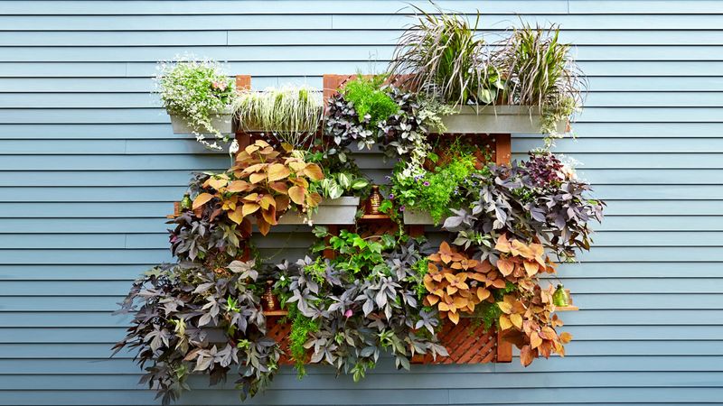 Vertical Garden Walls