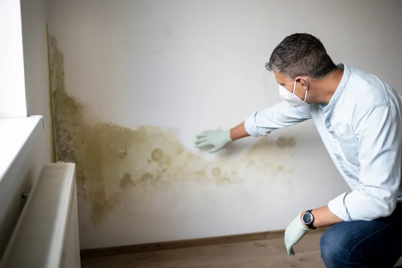 15 Home Details That Are Personal Faves But Buyer Dealbreakers And 5 That Scream Don't Buy - Decor Hint Mold Odors