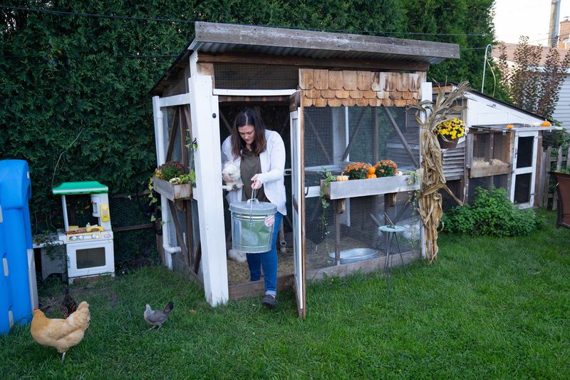 13 Yard Features That Could Soon Be Banned In U.S. Neighborhoods - Decor Hint Backyard Chicken Coops