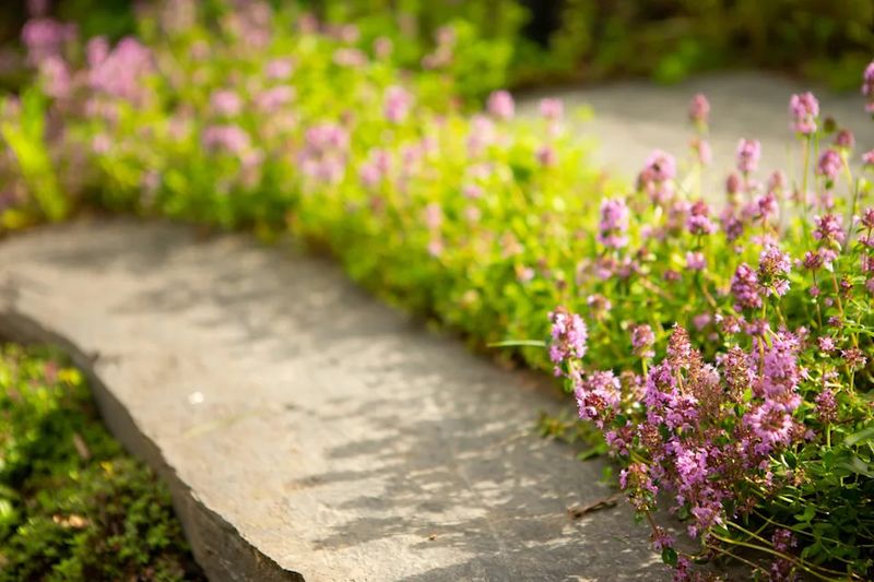 10 Beloved Outdoor Ideas In Washington And 4 That Should Catch Your Eye - Decor Hint Stone Pathway