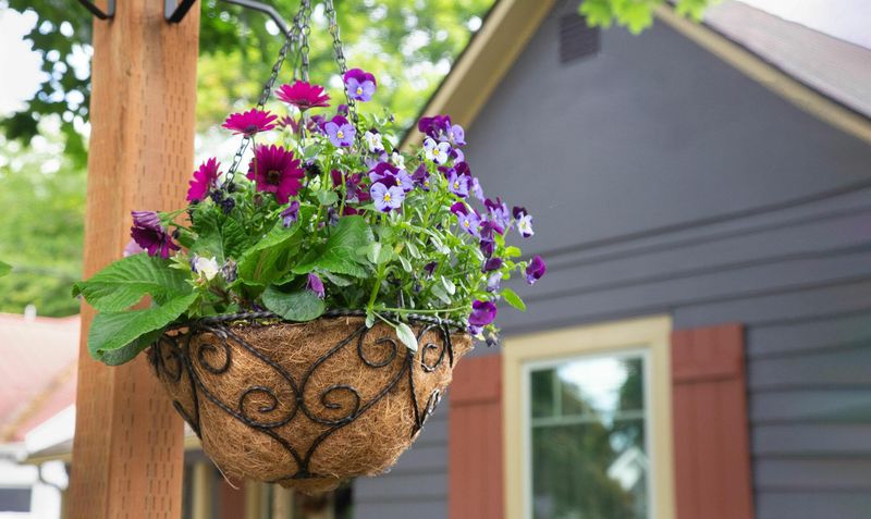 10 Beloved Outdoor Ideas In Washington And 4 That Should Catch Your Eye - Decor Hint Hanging Flower Baskets