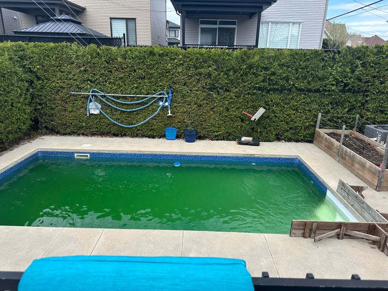 11 Backyard Features Devaluing Your Home And 11 That Will Add Value - Decor Hint Poorly Maintained Swimming Pools