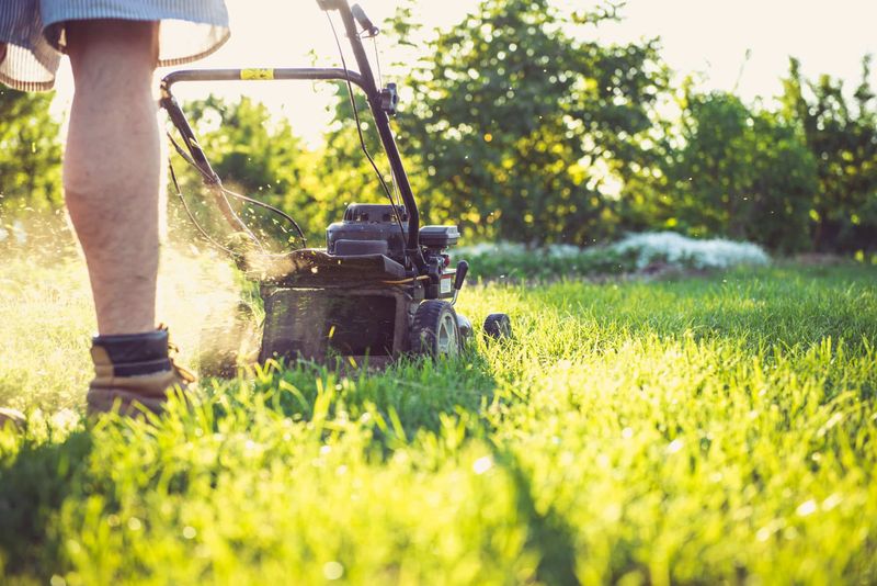 21 Landscaping Features That Are Really Annoying Your Neighbors, Real Estate Pros Say - Decor Hint Early Morning Landscaping Noise