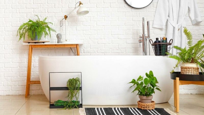 Creating Humidity Zones For Tropical Treasures
