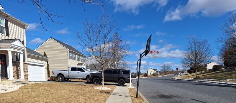 13 Suburban Home Features That Are Becoming Legal Headaches - Decor Hint Portable basketball hoops in public easement