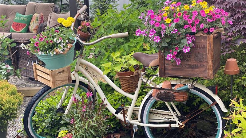 Vintage Bicycle Planter