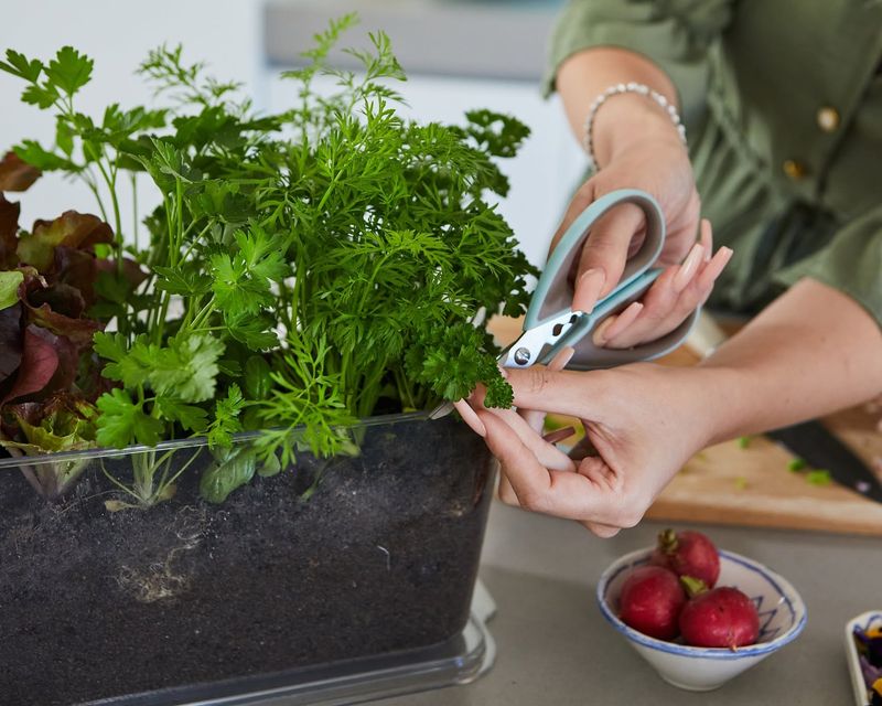 10 Features That Cheapen Your Colorado Kitchen (And 10 That Add Instant Class) - Decor Hint Indoor Herb Garden