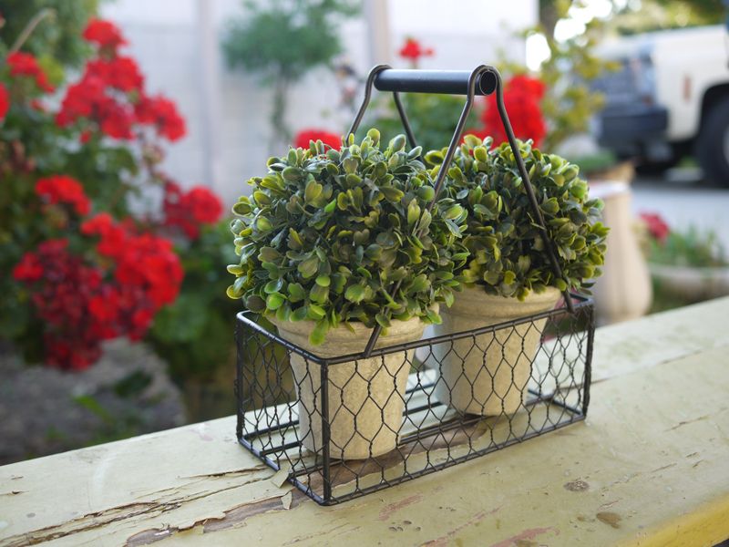 Plastic Faux Boxwood Topiaries