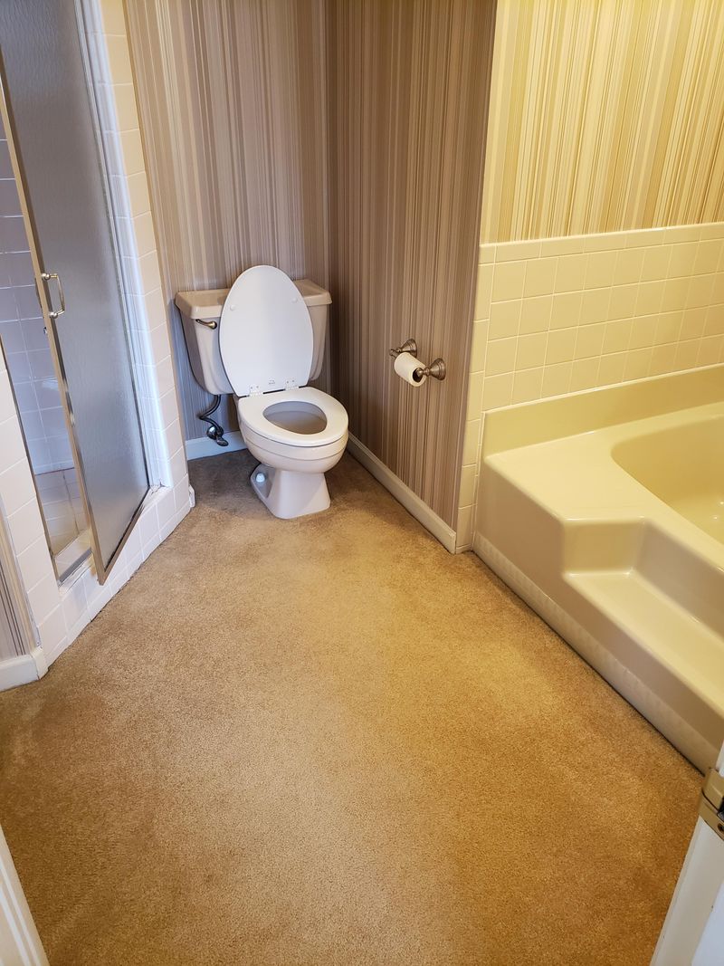 Carpeted Bathrooms