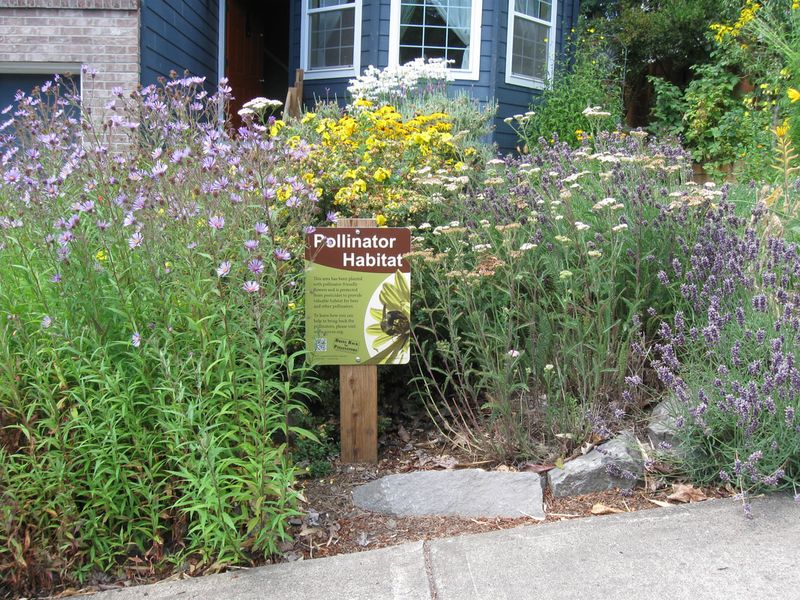 These 10 Front Yard And Patio Looks Are Big In Washington DC Right Now - Decor Hint Pollinator Pathways