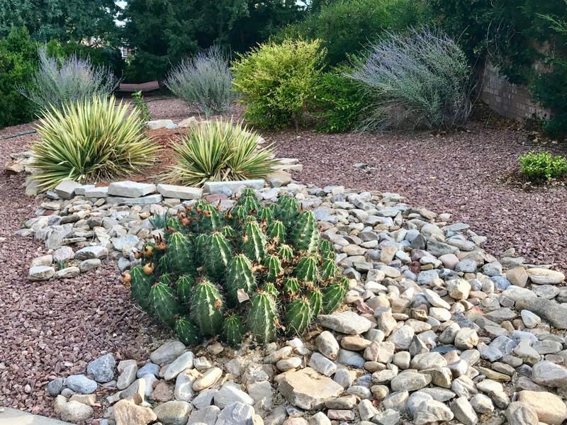 13 Exterior Design Ideas For Desert-Style Homes In Pennsylvania - Decor Hint Climate-Appropriate Cacti and Succulents