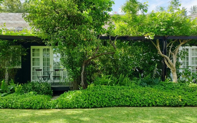 18 Common Home Features That Can Drag Down Your Property Value - Decor Hint Overgrown Landscaping