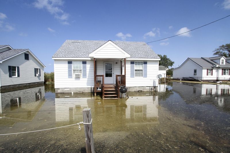 Planning To Buy In Virginia? See Which 6 Home Types May Drop And 6 That Could Climb - Decor Hint Homes Near Flood-Prone Areas