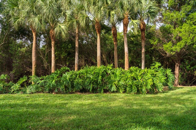 Florida Flair: 16 Bright And Breezy Touches That Define Sunshine State Homes - Decor Hint Tropical Landscaping And Palm Trees
