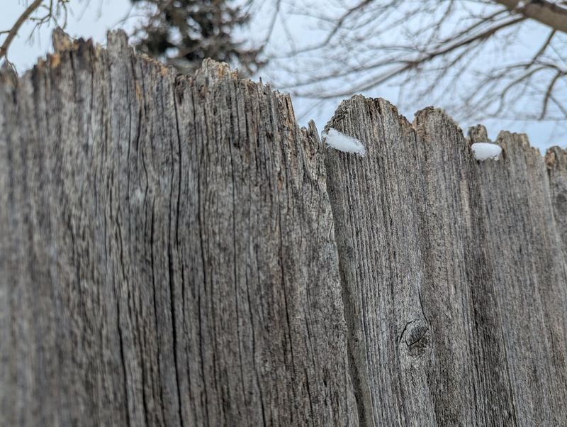 21 Landscaping Features That Are Really Annoying Your Neighbors, Real Estate Pros Say - Decor Hint Unmaintained Fencing
