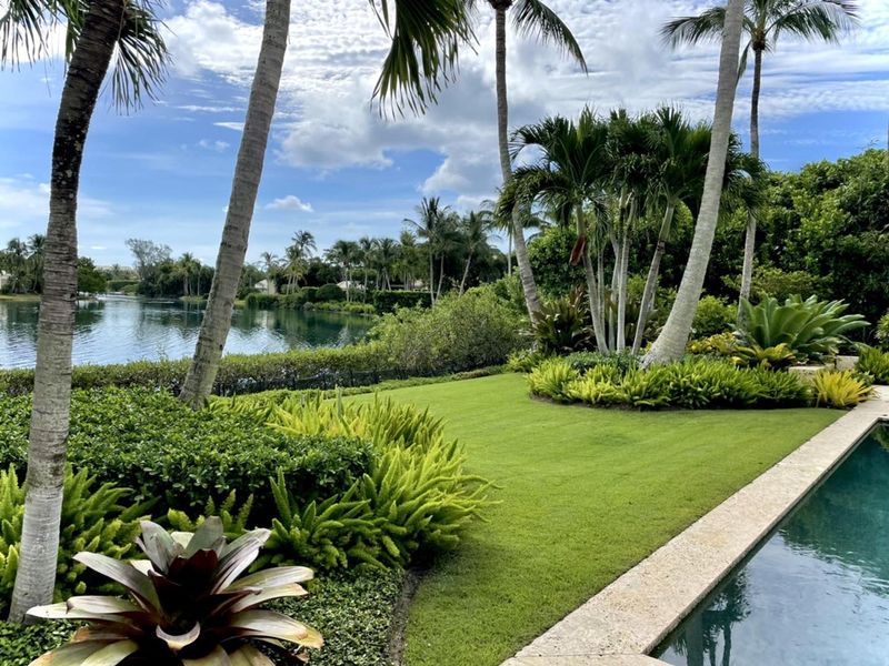 8 Backyard Design Moves That Make Florida Homes Feel Like Resorts - Decor Hint Plant Strategic Tropical Landscaping