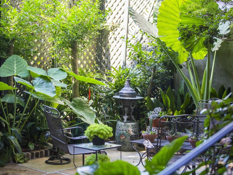 Bold Bayou Style 13 Louisiana Design Details You'll Love - Decor Hint Lush Courtyard Gardens