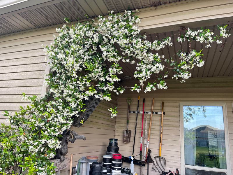 Southern Porch Perfection Tips From Savannah, Georgia - Decor Hint Signature Scents
