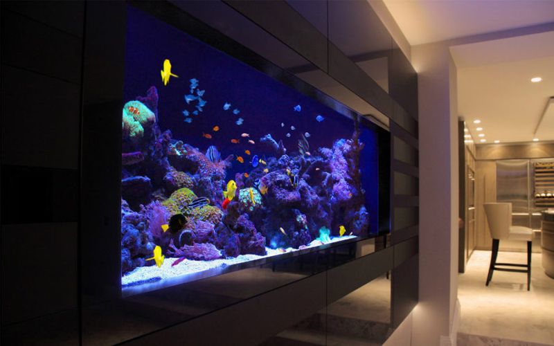 22 Costly Home Renovations That You Should Avoid - Decor Hint Elaborate Built-In Aquariums