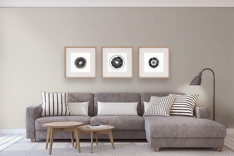 8 Serene Benjamin Moore Paint Colors That Create A Timeless, Soothing Home - Decor Hint Classic Gray (OC-23)