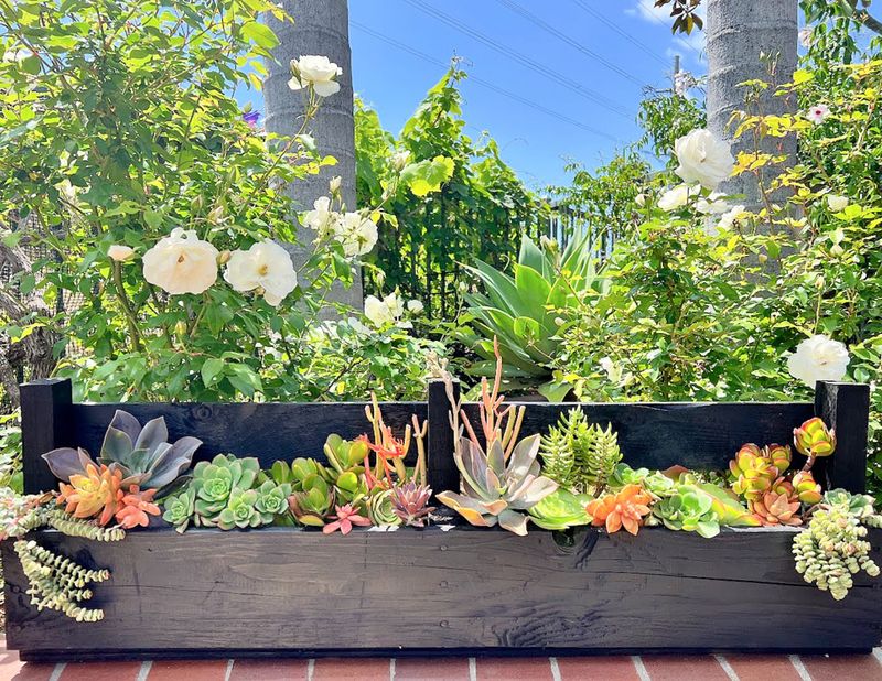 25 Awesome Succulent Porch Garden Ideas To Boost Curb Appeal - Decor Hint Rustic Wooden Crate Succulent Gardens