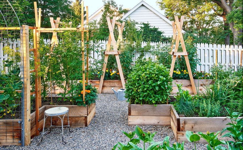 Edible Gardens