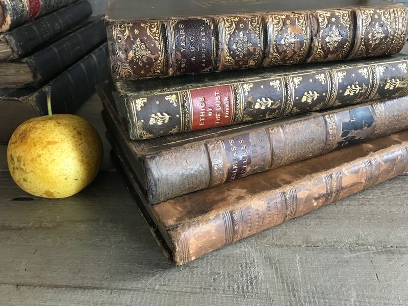 24 Antiques Designers Never Pass Up - Decor Hint Leather-Bound Books