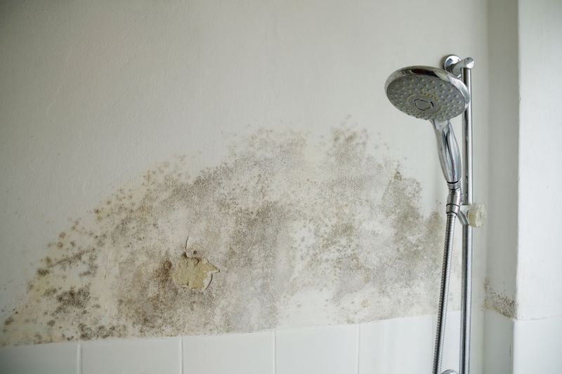 Insufficient or Harsh Bathroom Ventilation