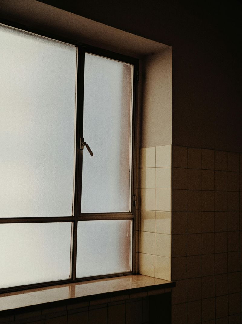 Frosted Glass Films