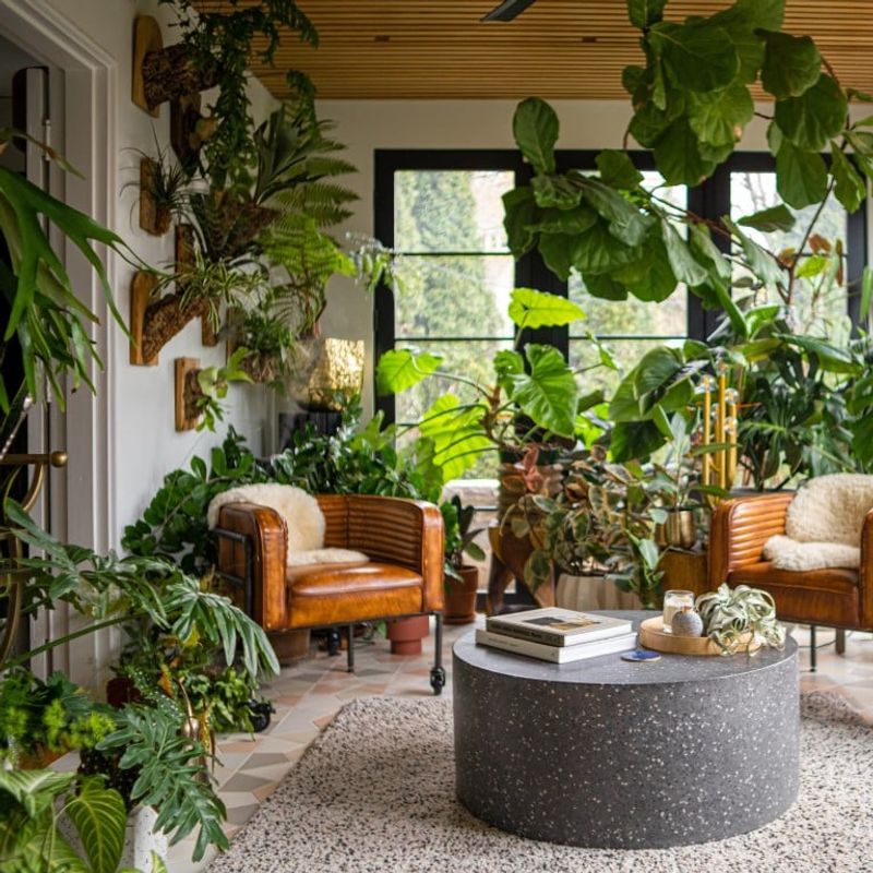 14 Must-Have Items For A Cozy Stylish Living Room - Decor Hint Indoor Green Plants