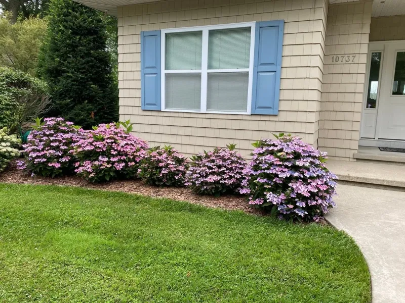 Missing Multi-Season Plants