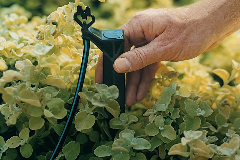 Install A Drip Irrigation System