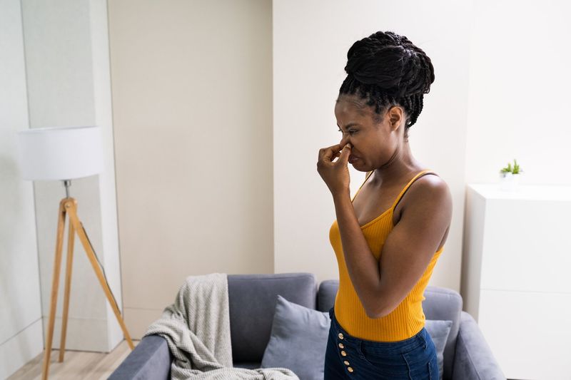 15 Red Flags About Your House That Repel House Buyers - Decor Hint Funky Odors That Won't Quit