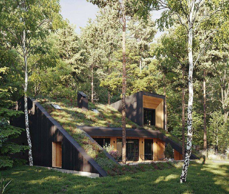 Think Small Live Large 13 Tiny Homes Full Of Surprising Charm - Decor Hint Eco-Friendly Green Roof Tiny Home
