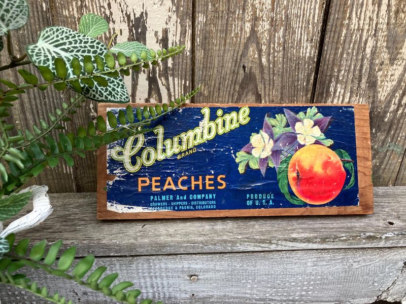 Georgia's 13 Most Wanted Antiques For 2025: A Southern Style Guide - Decor Hint Antique Georgia Peach Crates