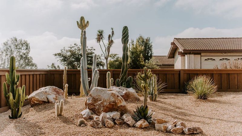 These 6 Arizona-Inspired Designs Are Changing The Look Of Virginia Yards - Decor Hint Gravel Gardens With Native Succulents