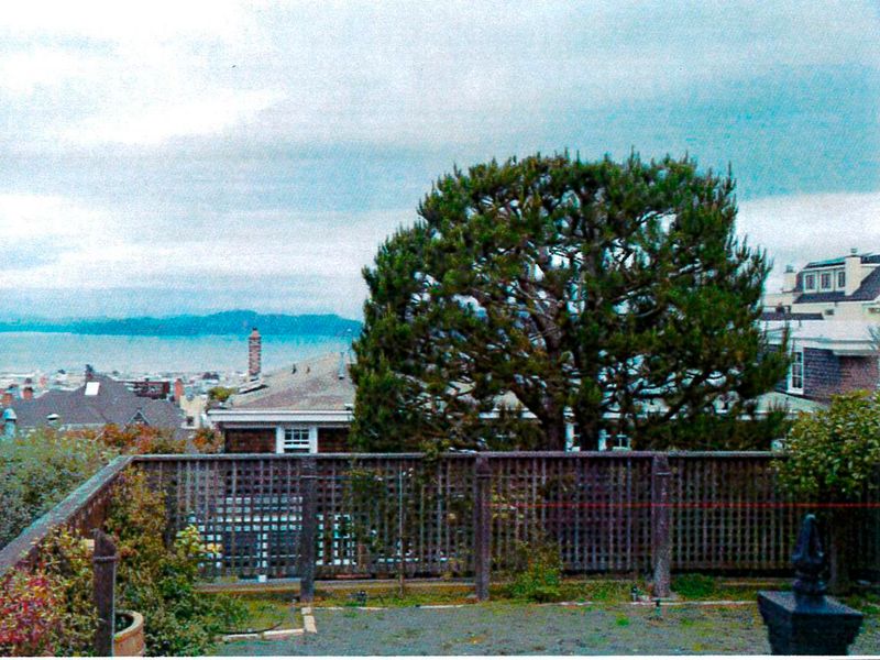 21 Landscaping Features That Are Really Annoying Your Neighbors, Real Estate Pros Say - Decor Hint View-Blocking Trees