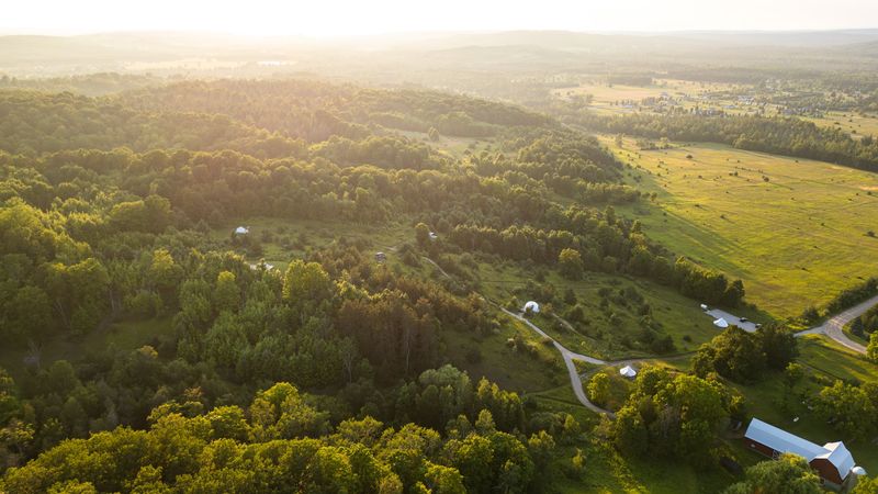 Ancient Woodlands Teeming With Wildlife
