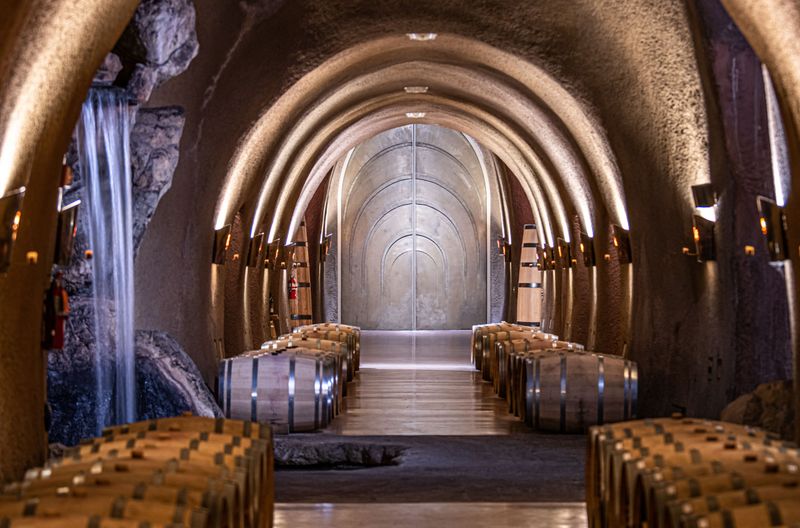 25 Amenities You Can Find In Billionaires' Homes - Decor Hint Wine Caves