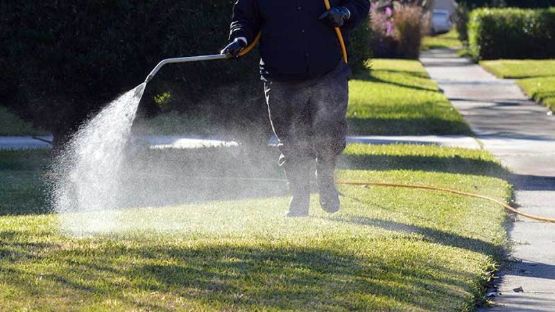 13 Yard Features That Could Soon Be Banned In U.S. Neighborhoods - Decor Hint Chemical Pesticides And Fertilizers