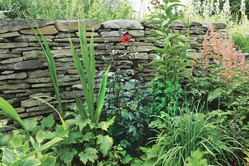 Strategic Landscaping Against Erosion