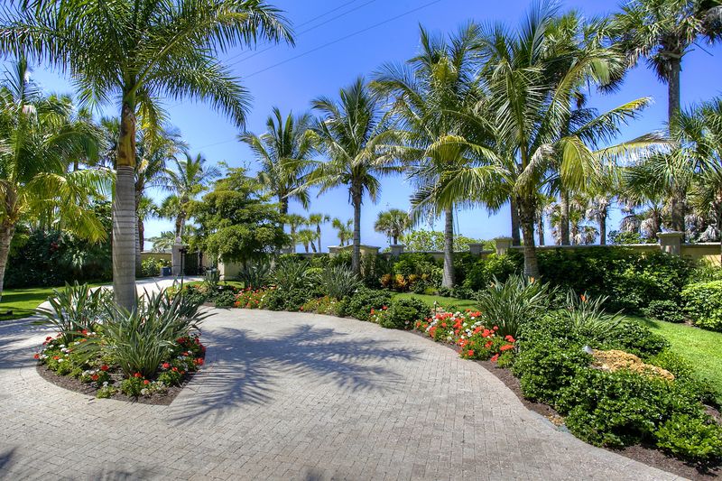 Excessive Tropical Landscaping