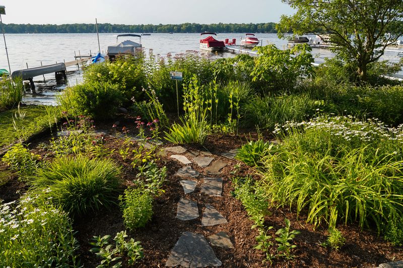 Lush Native Landscaping
